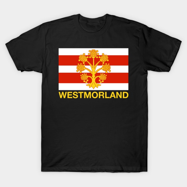 Westmorland County Flag - England T-Shirt by CityNoir